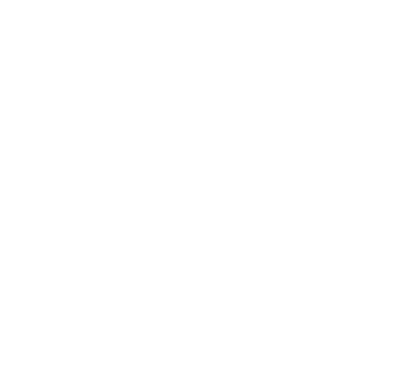Everest Cuisine Logo